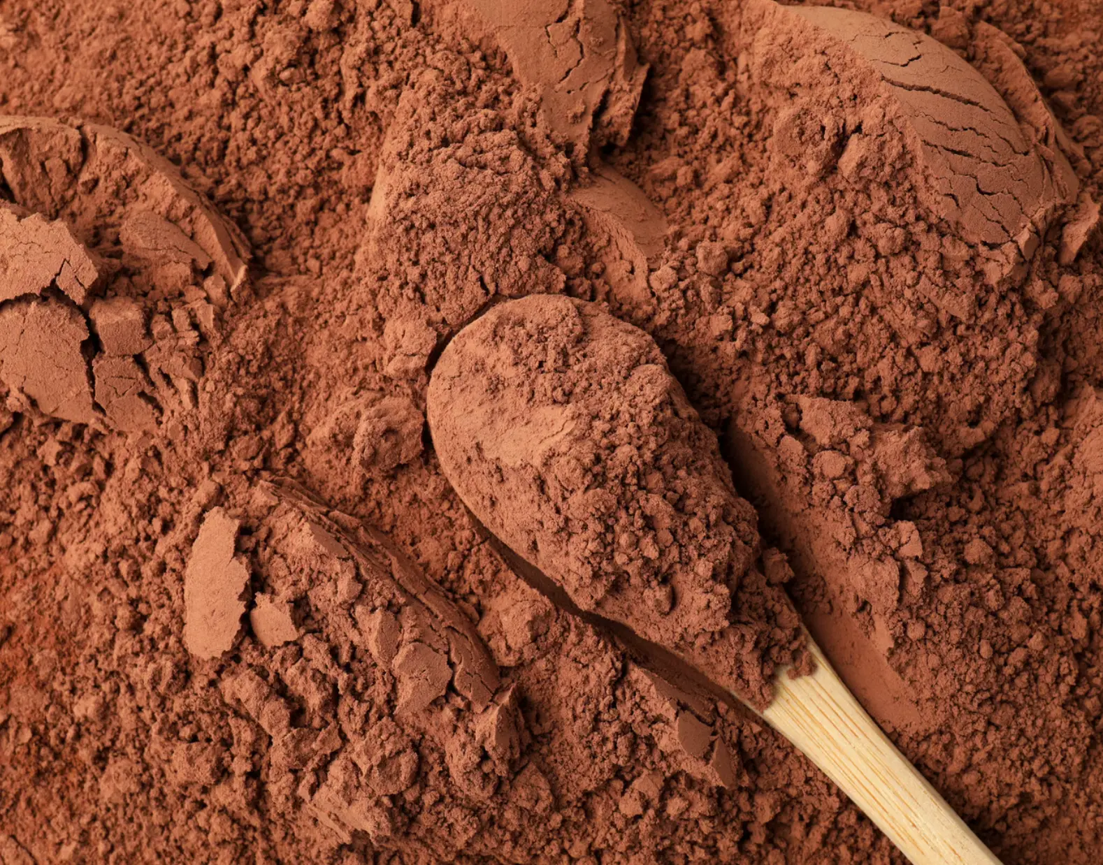 Belgian Cocoa Powder